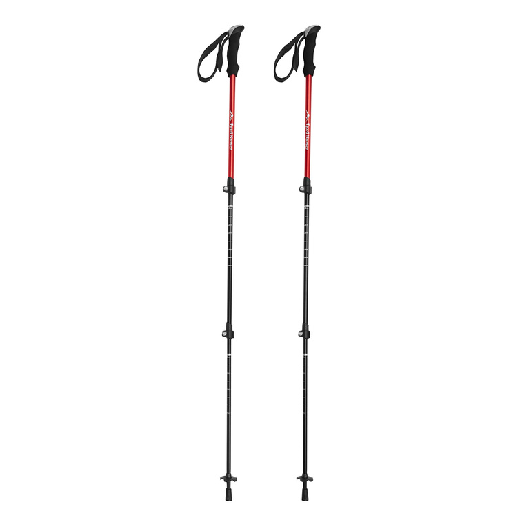 GRAVEL 2.0 trekking poles 