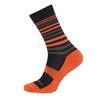 NEW TOUR MERINO SOCKS