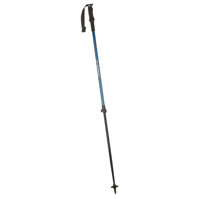 BACKCOUNTRY trekking poles 