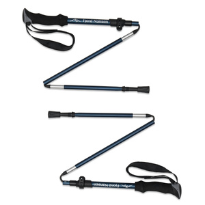 NIVA poles 2.0