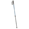 BACKCOUNTRY trekking poles 