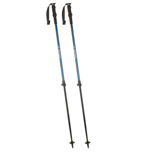 BACKCOUNTRY trekking poles